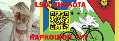 индика Кандалакша