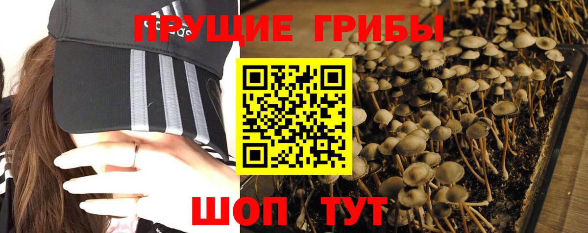 Ижевск  Псилоцибиновые грибы MAGIC MUSHROOMS  Вход с VPN 